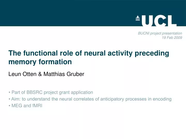 the functional role of neural activity preceding memory formation