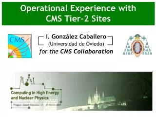 Operational Experience with CMS Tier-2 Sites