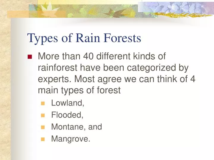 types of rain forests