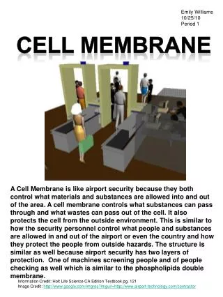 Cell Membrane