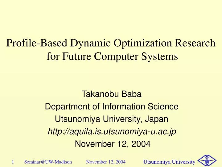 profile based dynamic optimization research for future computer systems