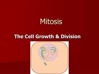 Mitosis