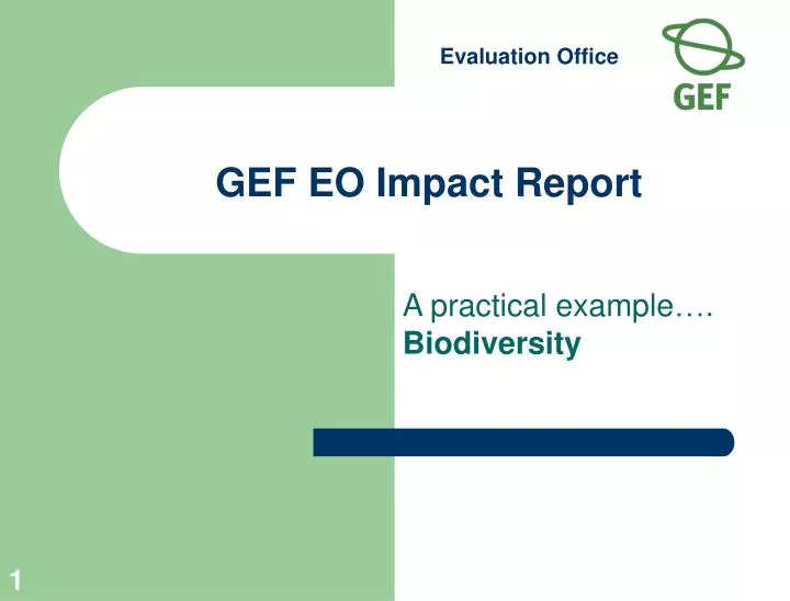 gef eo impact report