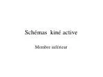 Schémas kiné active - slide 1