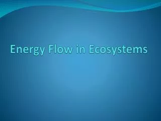 Energy Flow in Ecosystems