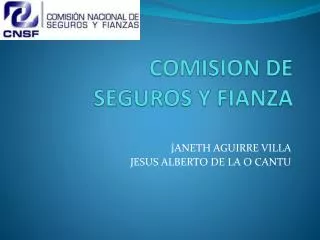 comision de seguros y fianza