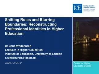 Shifting Roles and Blurring Boundaries: Reconstructing Professional Identities in Higher Education