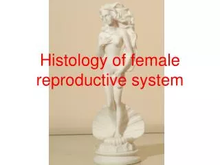 Histology of female reproductive system