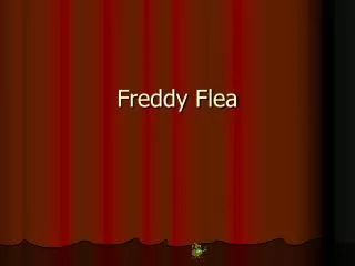 Freddy Flea