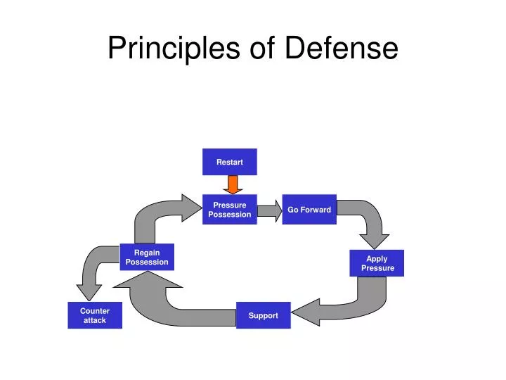principles of defense