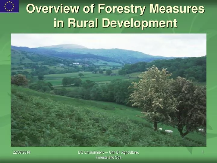 overview of forestry measures in rural development