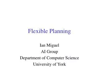 Flexible Planning
