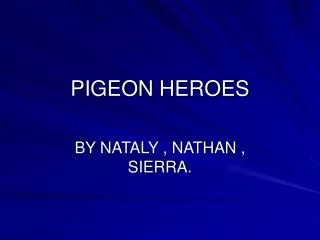 PIGEON HEROES