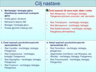 cilj nastave