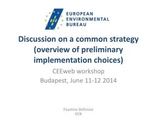 Discussion on a common strategy (overview of preliminary implementation choices)