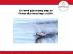 En kort gjennomgang av fiskesykdomsdiagnostikk - slide 1