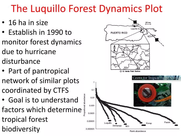 the luquillo forest dynamics plot
