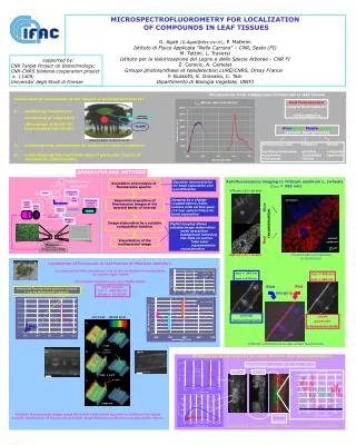 MICROSPECTROFLUOROMETRY FOR LOCALIZATION OF COMPOUNDS IN LEAF TISSUES