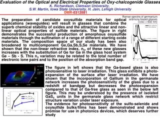 Evaluation of the Optical and Electrical Properties of Oxy-chalcogenide Glasses