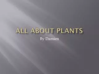 All about plants