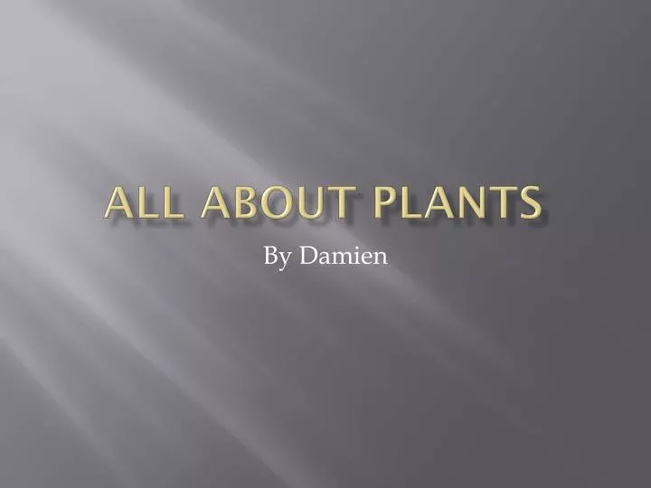 all about plants