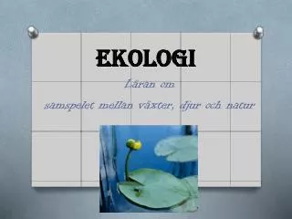 ekologi