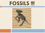 FOSSILS !!! - slide 1