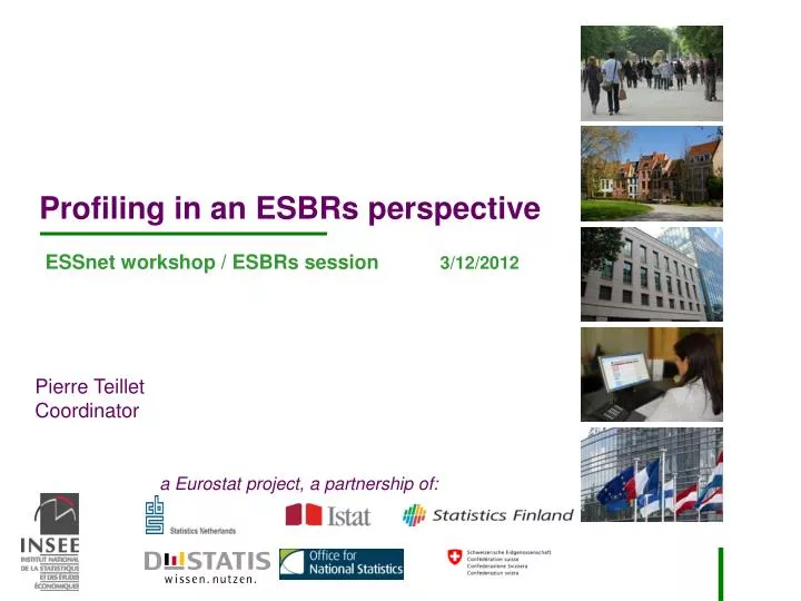 profiling in an esbrs perspective essnet workshop esbrs session 3 12 2012