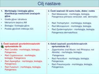 cilj nastave
