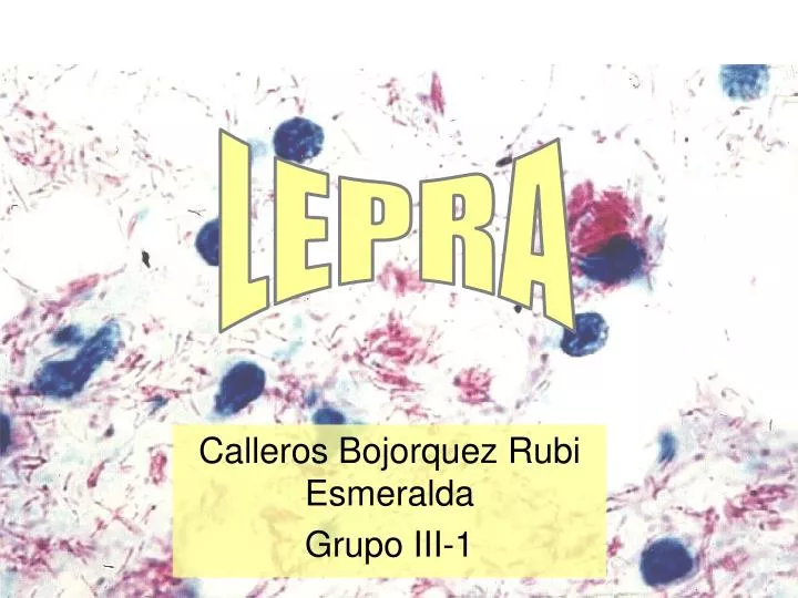 calleros bojorquez rubi esmeralda grupo iii 1