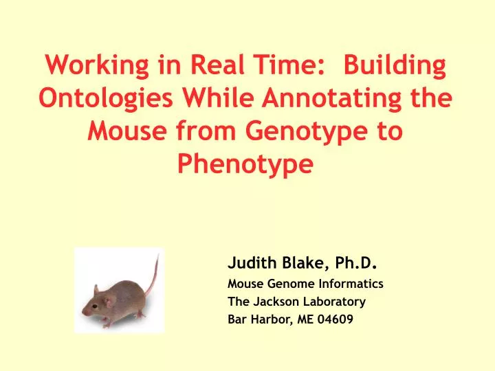 working in real time building ontologies while annotating the mouse from genotype to phenotype