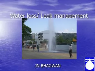 Water loss/ Leak management