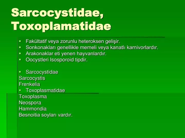 sarcocystidae toxoplamatidae