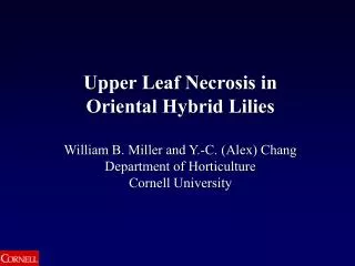 Upper Leaf Necrosis in Oriental Hybrid Lilies William B. Miller and Y.-C. (Alex) Chang