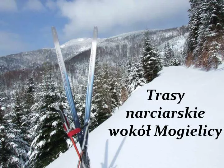 trasy narciarskie wok mogielicy