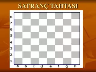 satran tahtasi