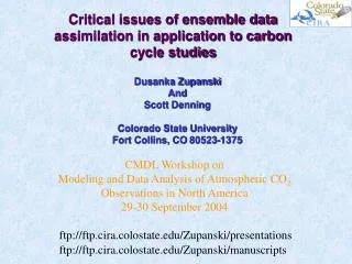 Critical issues of ensemble data assimilation in application to carbon cycle studies