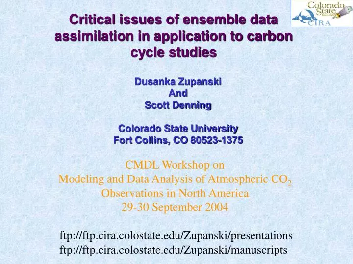 critical issues of ensemble data assimilation in application to carbon cycle studies