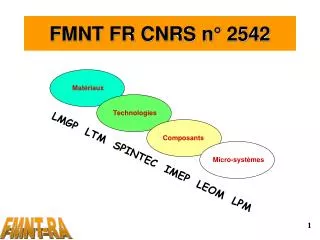 fmnt fr cnrs n 2542
