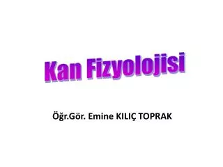 r g r emine kili toprak