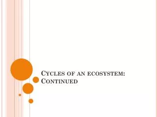 Cycles of an ecosystem: Continued