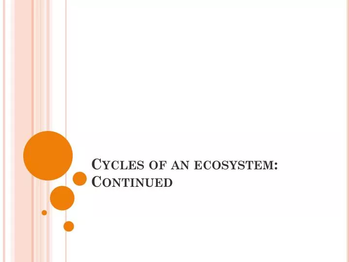 cycles of an ecosystem continued