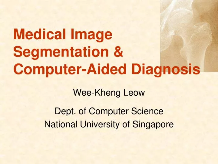 medical image segmentation computer aided diagnosis