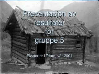 presentasjon av resultater for gruppe 5 eksperter i team v r 2004