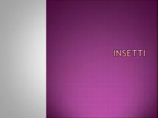 insetti