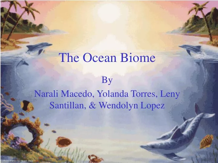 the ocean biome