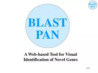 A Web-based Tool for Visual Identification of Novel Genes