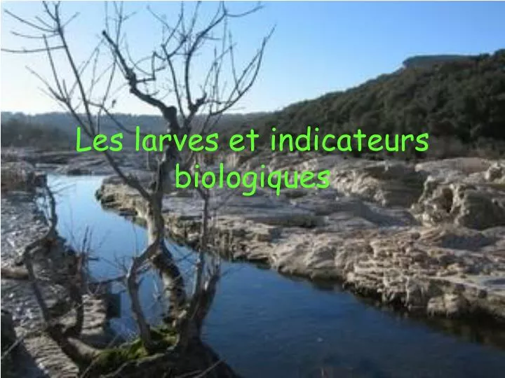 les larves et indicateurs biologiques