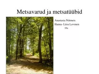 metsavarud ja metsat bid