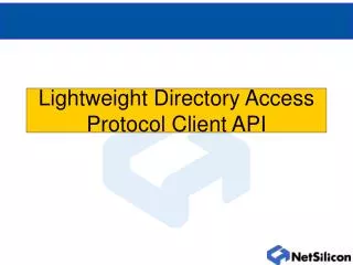 Lightweight Directory Access Protocol Client API